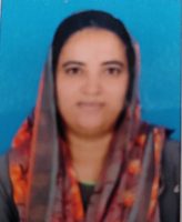 {"sha1":"b9641b755843f86eb3c9ba837383bb06d3a6533b","ext":"jpg"}